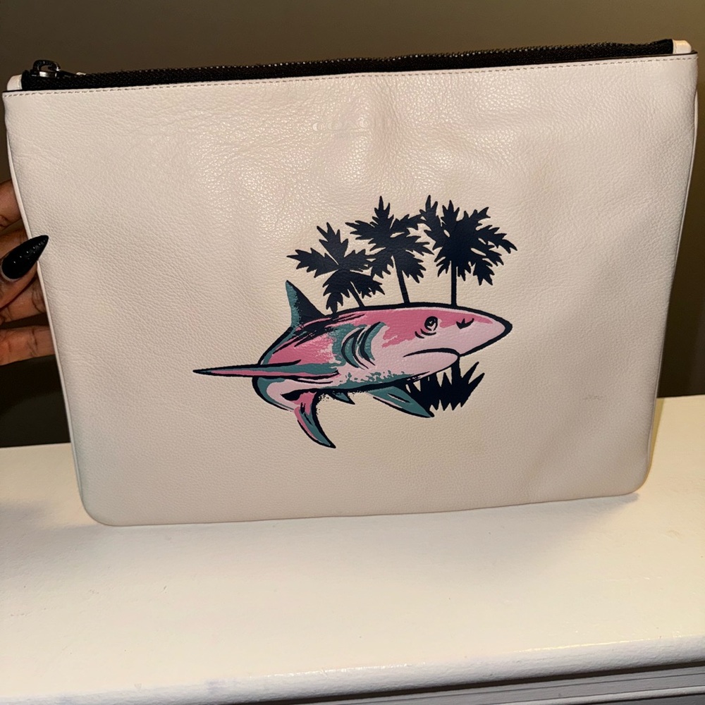 Coach pouch